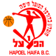 海法夏普爾logo