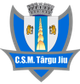 CSM特爾古捷烏B隊logo