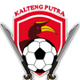 太子FC U20logo