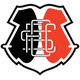 圣克魯茲青年隊(duì)logo