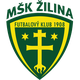 斯尼納U19logo