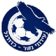 伊若尼內瑟U19logo